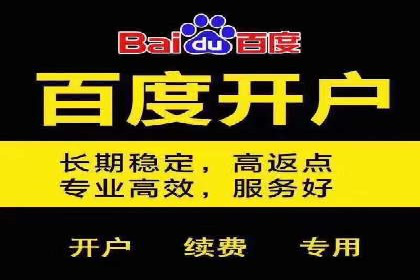 百度推广活动策划，实战案例展示